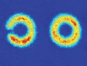 New Scientist. Science news and long reads from expert journalists, covering developments in science, technology, health and the environment on the website and the magazine.