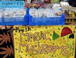 Psychedelic drug cuts brain blood flow and connections