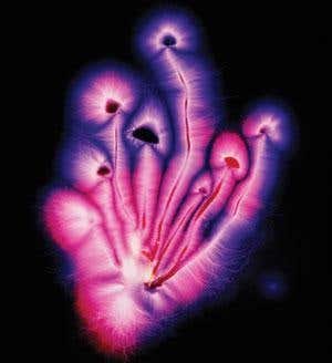 New Scientist. Science news and long reads from expert journalists, covering developments in science, technology, health and the environment on the website and the magazine.