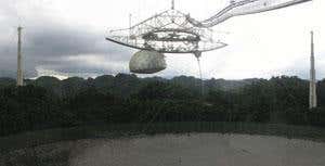 Exo-evolution: Aliens who hide, survive