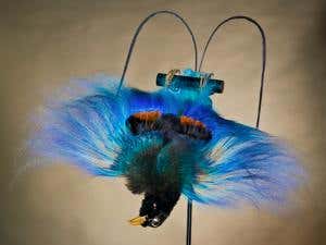 New Scientist. Science news and long reads from expert journalists, covering developments in science, technology, health and the environment on the website and the magazine.