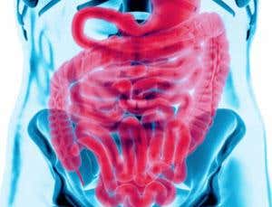 New Scientist. Science news and long reads from expert journalists, covering developments in science, technology, health and the environment on the website and the magazine.