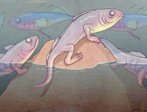 Why evolution is going nowhere fast