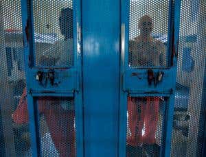 New Scientist. Science news and long reads from expert journalists, covering developments in science, technology, health and the environment on the website and the magazine.