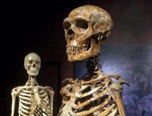 New Scientist. Science news and long reads from expert journalists, covering developments in science, technology, health and the environment on the website and the magazine.