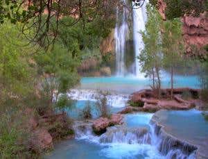 New Scientist. Science news and long reads from expert journalists, covering developments in science, technology, health and the environment on the website and the magazine.