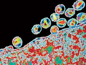 New Scientist. Science news and long reads from expert journalists, covering developments in science, technology, health and the environment on the website and the magazine.