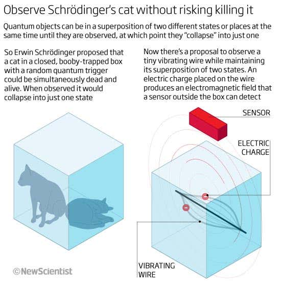 Quantum probes that won't kill Schrödinger's cat
