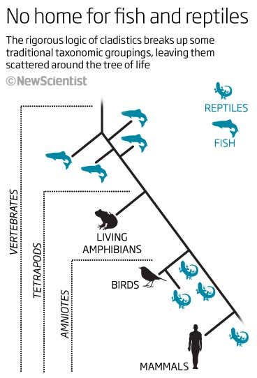 No home for fish and reptiles