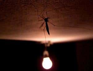 New Scientist. Science news and long reads from expert journalists, covering developments in science, technology, health and the environment on the website and the magazine.