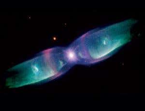 New Scientist. Science news and long reads from expert journalists, covering developments in science, technology, health and the environment on the website and the magazine.