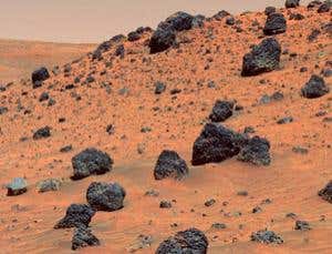 New Scientist. Science news and long reads from expert journalists, covering developments in science, technology, health and the environment on the website and the magazine.