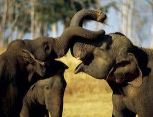 New Scientist. Science news and long reads from expert journalists, covering developments in science, technology, health and the environment on the website and the magazine.