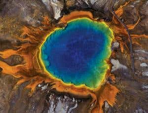 New Scientist. Science news and long reads from expert journalists, covering developments in science, technology, health and the environment on the website and the magazine.