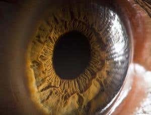 The grand delusion: What you see is not what you get