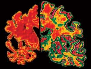 New Scientist. Science news and long reads from expert journalists, covering developments in science, technology, health and the environment on the website and the magazine.