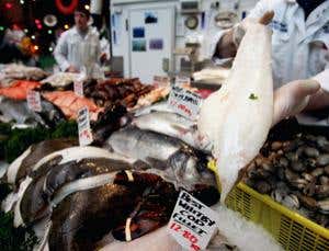 DNA chip test will track down illegal fish