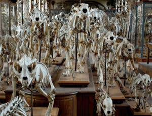 New Scientist. Science news and long reads from expert journalists, covering developments in science, technology, health and the environment on the website and the magazine.