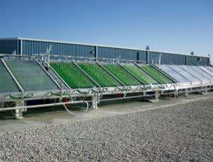 New Scientist. Science news and long reads from expert journalists, covering developments in science, technology, health and the environment on the website and the magazine.