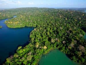 New Scientist. Science news and long reads from expert journalists, covering developments in science, technology, health and the environment on the website and the magazine.