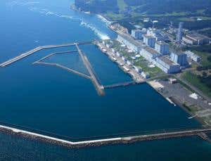 New Scientist. Science news and long reads from expert journalists, covering developments in science, technology, health and the environment on the website and the magazine.