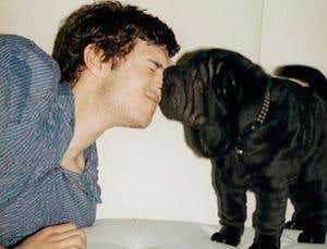 New Scientist. Science news and long reads from expert journalists, covering developments in science, technology, health and the environment on the website and the magazine.