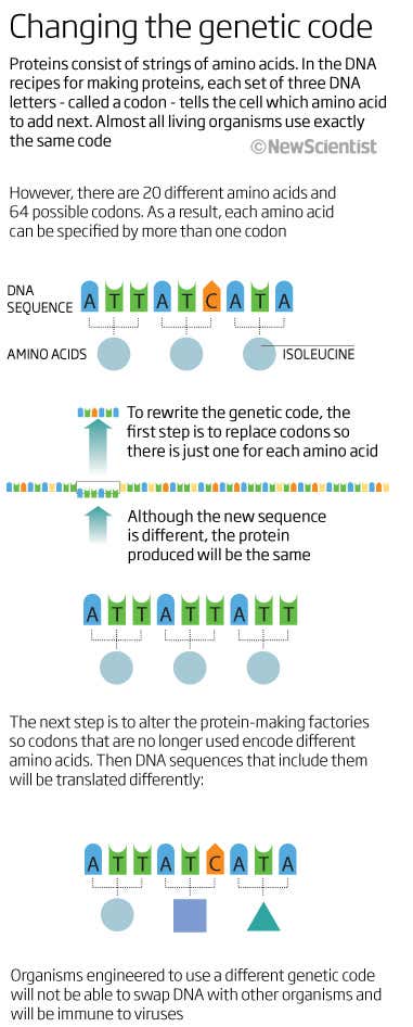 Changing the genetic code