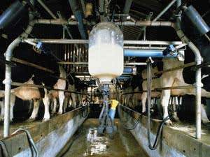 New Scientist. Science news and long reads from expert journalists, covering developments in science, technology, health and the environment on the website and the magazine.