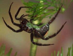 New Scientist. Science news and long reads from expert journalists, covering developments in science, technology, health and the environment on the website and the magazine.