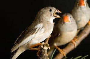 New Scientist. Science news and long reads from expert journalists, covering developments in science, technology, health and the environment on the website and the magazine.