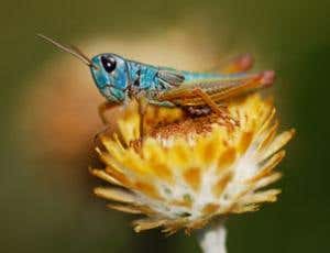 New Scientist. Science news and long reads from expert journalists, covering developments in science, technology, health and the environment on the website and the magazine.