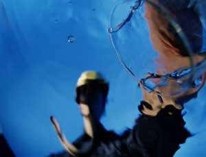 New Scientist. Science news and long reads from expert journalists, covering developments in science, technology, health and the environment on the website and the magazine.