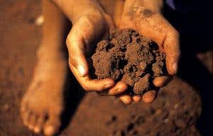 New Scientist. Science news and long reads from expert journalists, covering developments in science, technology, health and the environment on the website and the magazine.