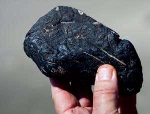 New Scientist. Science news and long reads from expert journalists, covering developments in science, technology, health and the environment on the website and the magazine.