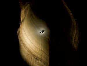 New Scientist. Science news and long reads from expert journalists, covering developments in science, technology, health and the environment on the website and the magazine.