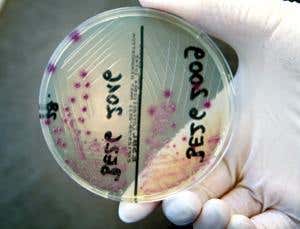 New Scientist. Science news and long reads from expert journalists, covering developments in science, technology, health and the environment on the website and the magazine.