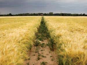 New Scientist. Science news and long reads from expert journalists, covering developments in science, technology, health and the environment on the website and the magazine.