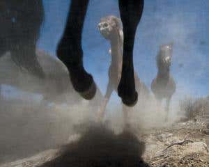 New Scientist. Science news and long reads from expert journalists, covering developments in science, technology, health and the environment on the website and the magazine.