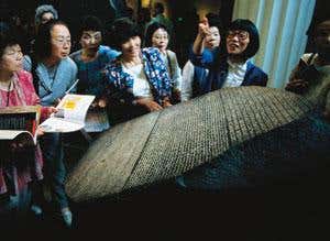 New Scientist. Science news and long reads from expert journalists, covering developments in science, technology, health and the environment on the website and the magazine.