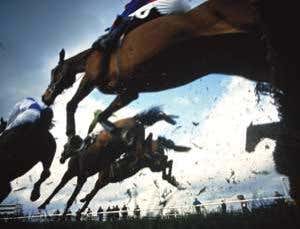 Speedy genes: Making horses for courses