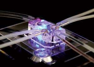 New Scientist. Science news and long reads from expert journalists, covering developments in science, technology, health and the environment on the website and the magazine.