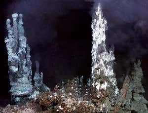 New Scientist. Science news and long reads from expert journalists, covering developments in science, technology, health and the environment on the website and the magazine.