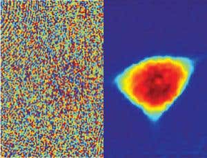 New Scientist. Science news and long reads from expert journalists, covering developments in science, technology, health and the environment on the website and the magazine.