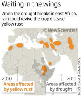 Waiting in the wings