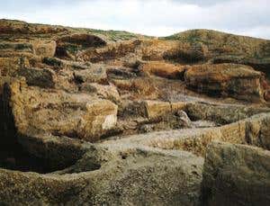 New Scientist. Science news and long reads from expert journalists, covering developments in science, technology, health and the environment on the website and the magazine.