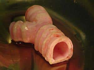 New Scientist. Science news and long reads from expert journalists, covering developments in science, technology, health and the environment on the website and the magazine.