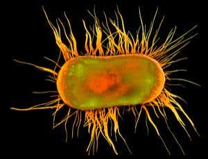 New Scientist. Science news and long reads from expert journalists, covering developments in science, technology, health and the environment on the website and the magazine.