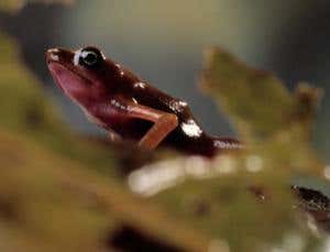 New Scientist. Science news and long reads from expert journalists, covering developments in science, technology, health and the environment on the website and the magazine.