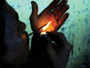 New Scientist. Science news and long reads from expert journalists, covering developments in science, technology, health and the environment on the website and the magazine.