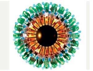 Specs that see right through you